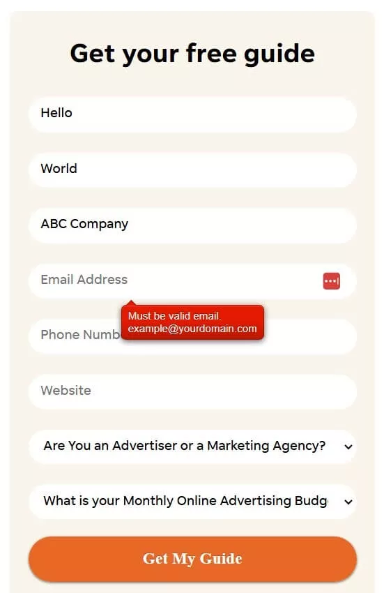 example of form with error