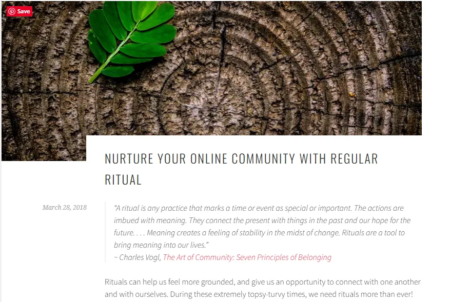 Create a Shared Language or Ritual